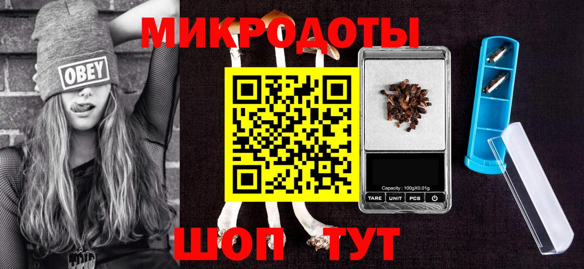 Лениногорск  Галлюциногенные грибы прущие грибы  где найти   Вход с VPN 